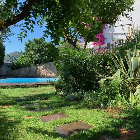 Villa Pineland Borghetto Santo Spirito Dış mekan fotoğraf